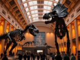 london museum dinosaurier