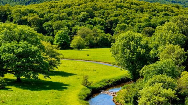 New Forest National Park – Naturparadies in England